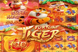 responsible casino lobby exploration on apk 222 with clear Bangladesh user guidance